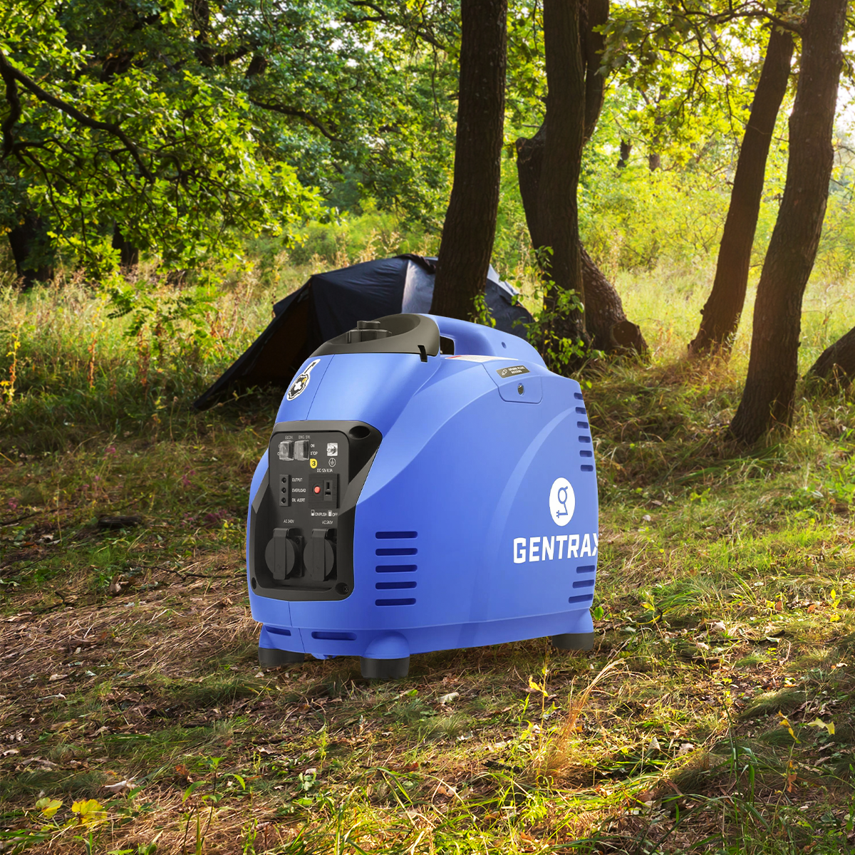 Generator Maintenance Tips Before Summer Blackouts