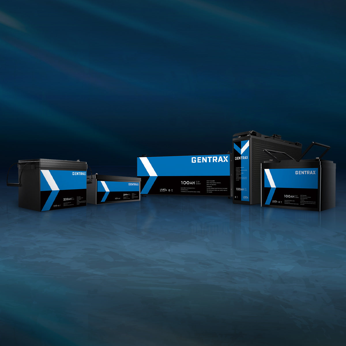 Why 2025 is the Year to Invest in Portable Lithium Batteries